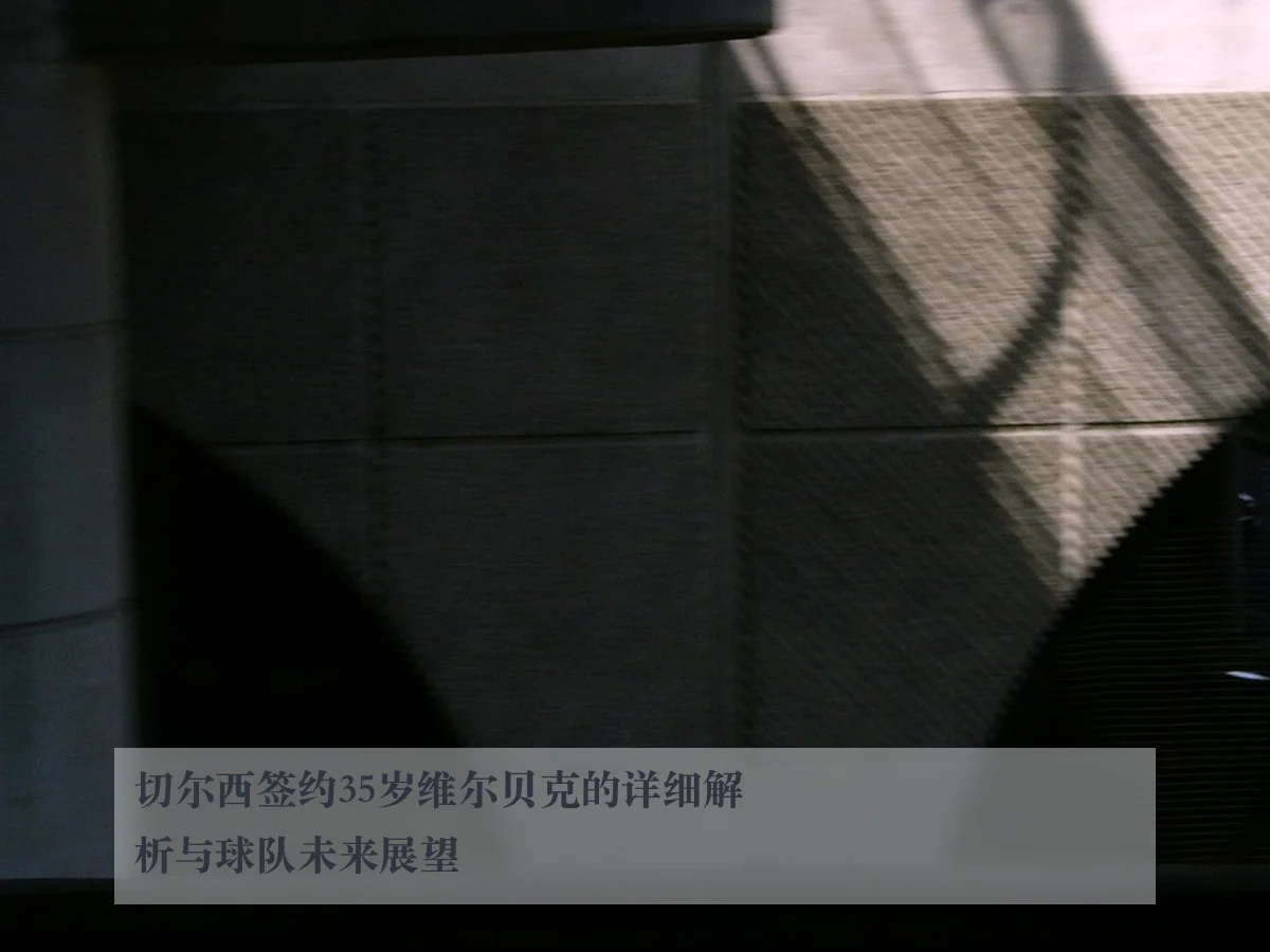 切尔西签约35岁维尔贝克的详细解析与球队未来展望